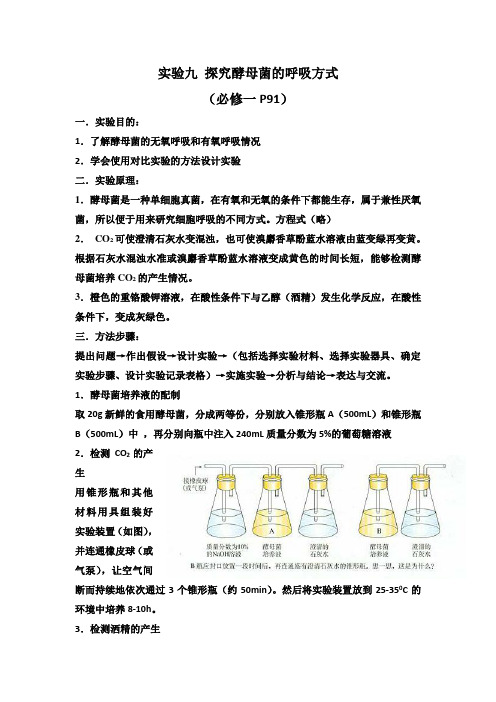 生物实验九：探究酵母菌的呼吸方式(必修1)