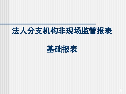 基础报表-法人分支机构非现场监管报表