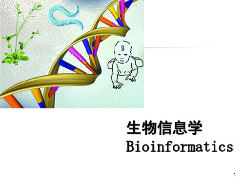 [生物信息学]生物信息学绪论