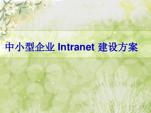 网络工程(中小型企业_Intranet_建设方案)