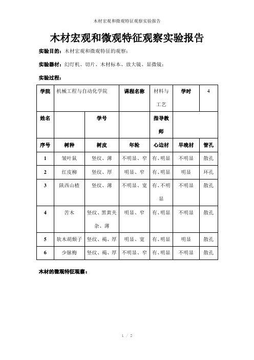 木材宏观和微观特征观察实验报告参考模板