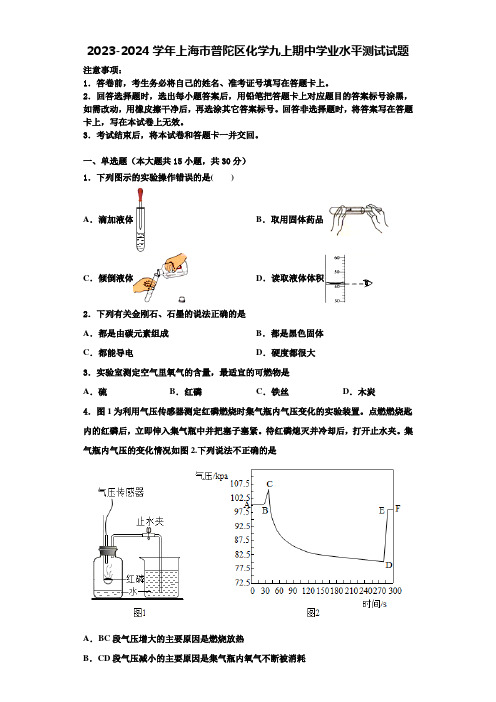 2023-2024学年上海市普陀区化学九上期中学业水平测试试题含解析