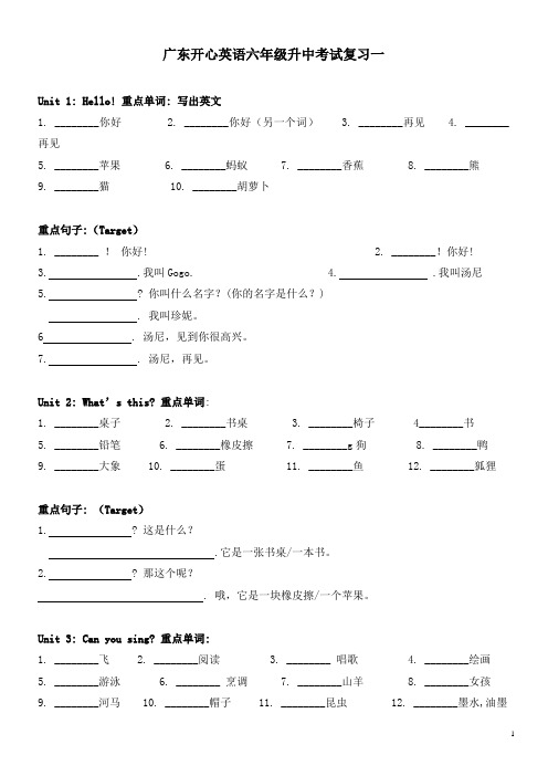 广东开心英语六年级升中考试复习一