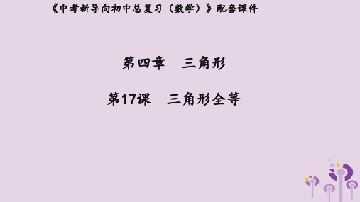 (湖北专用)2019中考数学新导向复习 第四章 三角形 第17课 三角形全等课件