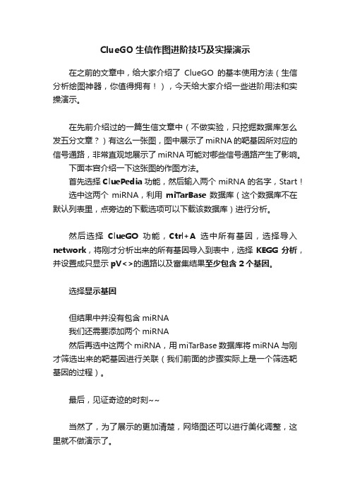 ClueGO生信作图进阶技巧及实操演示