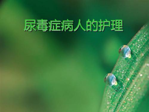 尿毒症的护理 ppt课件