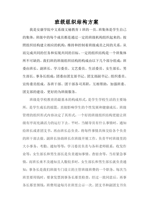 班级组织结构方案