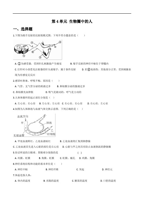 七年级下册生物单元检测卷：第4单元 生物圈中的人含答案