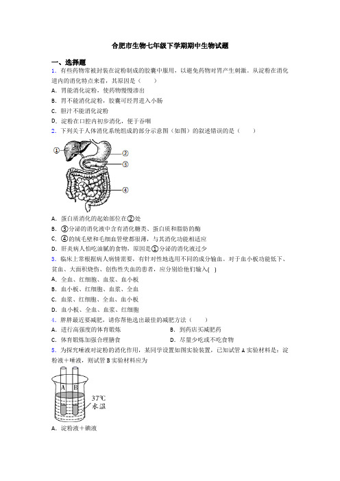 合肥市生物七年级下学期期中生物试题