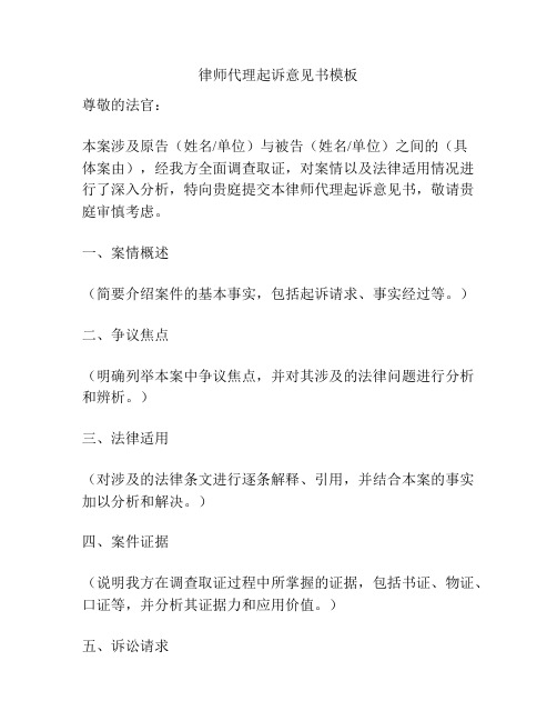 律师代理起诉意见书模板