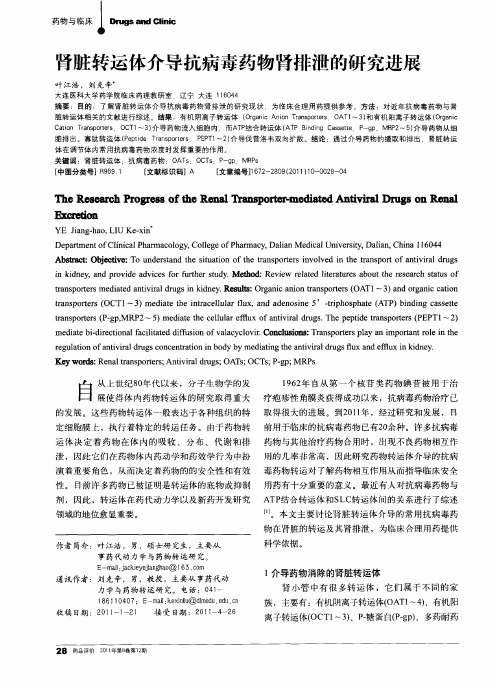 肾脏转运体介导抗病毒药物肾排泄的研究进展