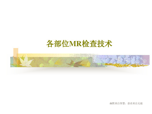 各部位MR检查技术53页PPT