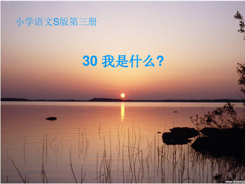 30我是什么ppt课件