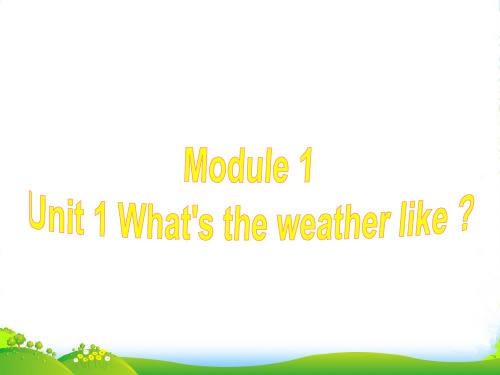 外研版二年级英语下册Module1Unit1What’stheweatherlike课件5