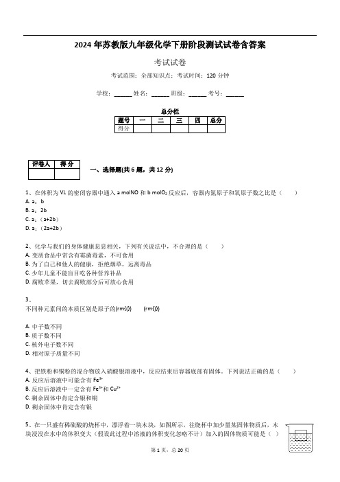 2024年苏教版九年级化学下册阶段测试试卷含答案