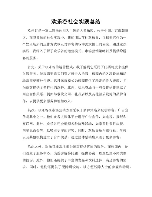 欢乐谷社会实践总结