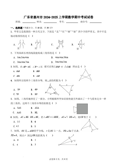 广东省惠州市2024-2025学年八年级上册期中考试数学试卷及答案