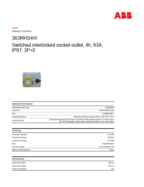 Switched Interlocked Socket-Outlet 产品说明书