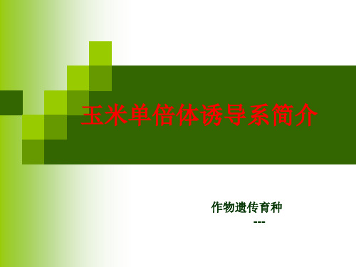 玉米单倍体诱导系及其在育种中的应用研究