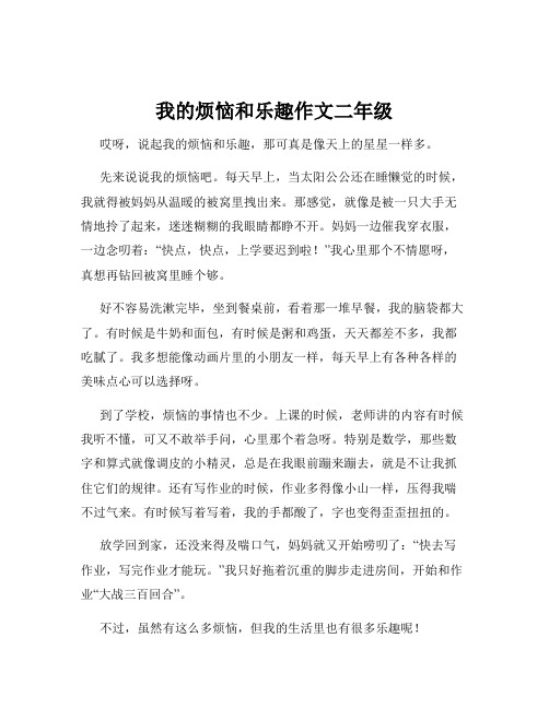 我的烦恼和乐趣作文二年级