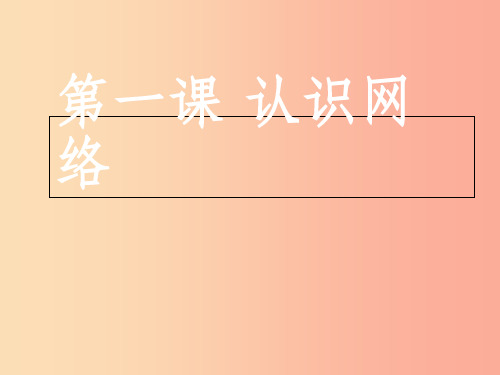 八年级信息技术上册 第一单元 走进网络 第1课《认识网络》课件4 浙教版