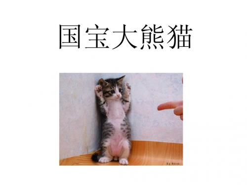 国宝熊猫