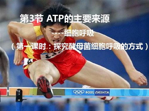 5.3  ATP的主要来源--细胞呼吸(第一课时)