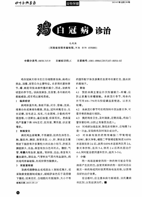 鸡白冠病诊治