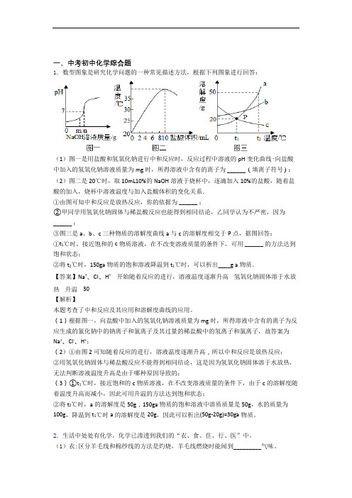 2020-2021中考化学 综合题 培优 易错 难题练习(含答案)及详细答案