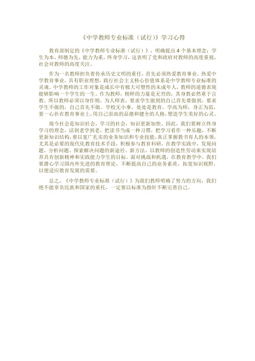 中学教师专业标准