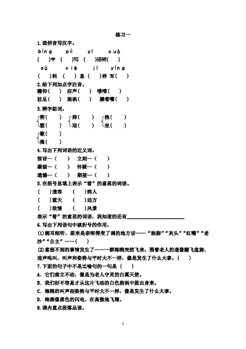 人教版六年级上册语文同步练习(2套)(有答案)  21老人与海鸥