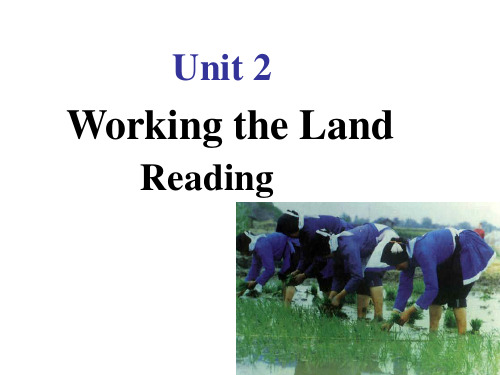 人教版高中英语必修4Unit2reading