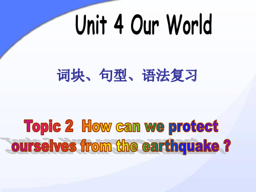 Unit 4 Topic 2 词块、句型、语法 复习