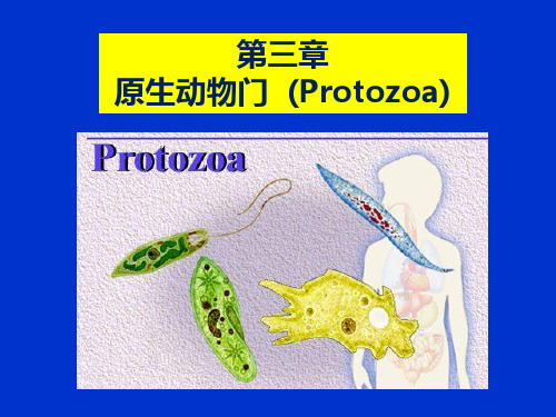 03第三章 原生动物门 Protozoa