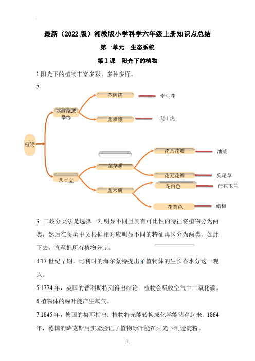 最新(2022版)湘教版小学科学六年级上册知识点总结