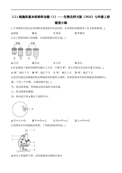 2.2.1细胞的基本结构和功能(1)——生物北师大版(2024)七年级上册随堂小练(部分含解析)