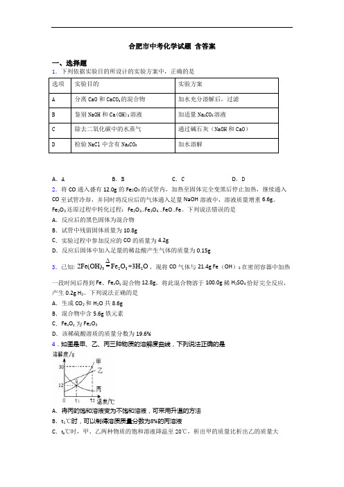 合肥市中考化学试题 含答案