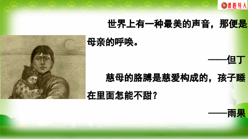 《大堰河我的保姆》课件