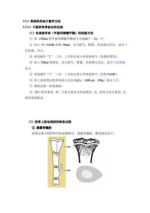 骨组织形态计量学方法课案