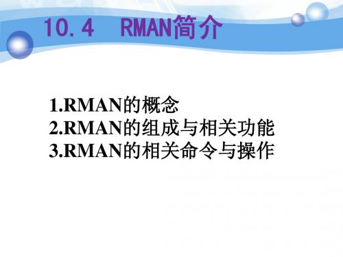 oracle   RMAN简介