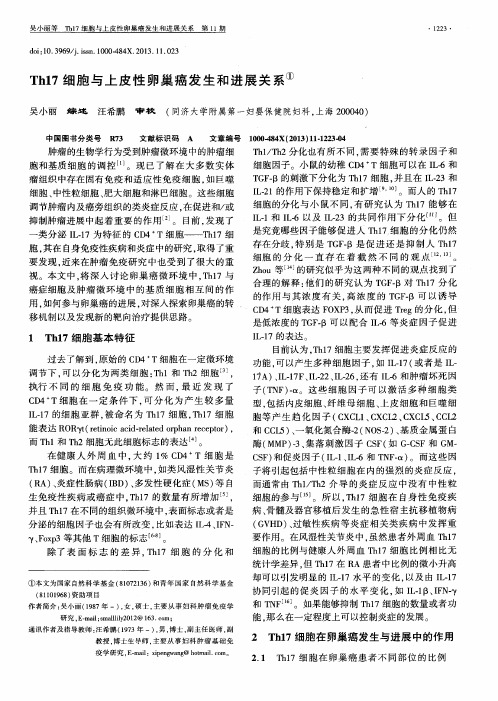 Th17细胞与上皮性卵巢癌发生和进展关系