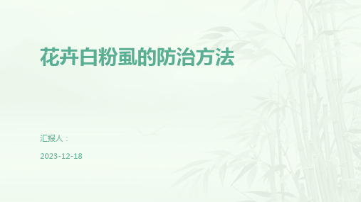 花卉白粉虱的防治方法