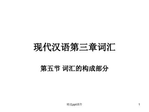 现代汉语第三章词汇