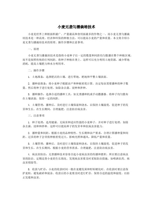 小麦无垄匀播栽培技术