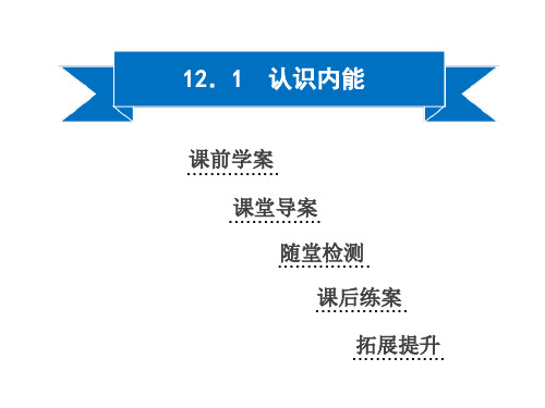 认识内能沪粤版九级物理上册同步课件ppt