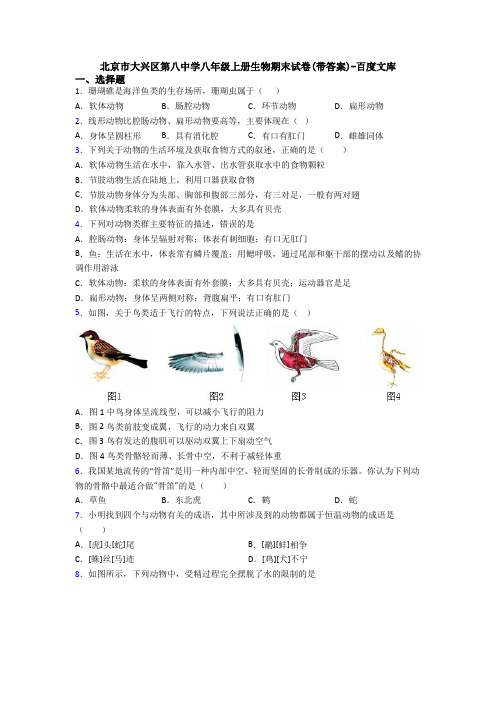 北京市大兴区第八中学八年级上册生物期末试卷(带答案)-百度文库