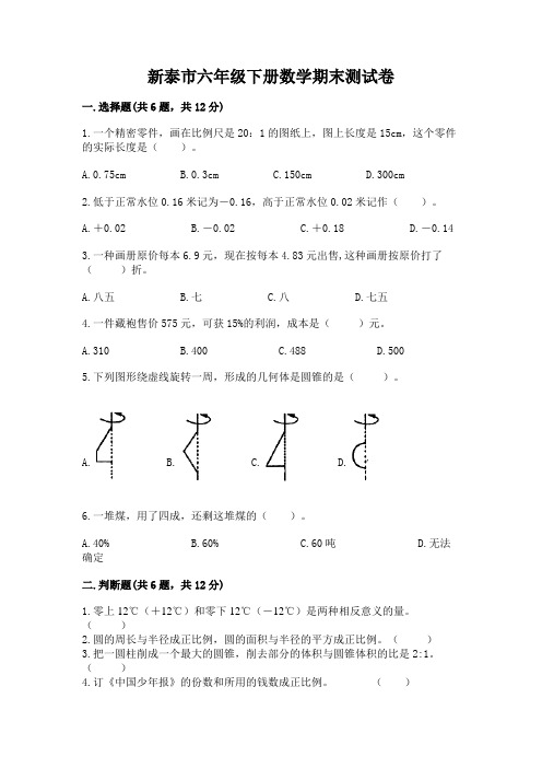 新泰市六年级下册数学期末测试卷完美版