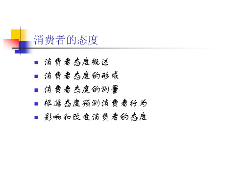 武汉大学商学院《消费者行为学》讲义07.pptx