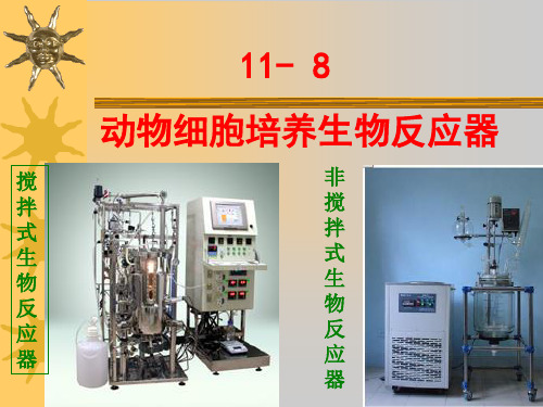 11-8、9 动物细胞的大规模培养反应器及影响因素