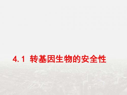 高中生物(人教版选修3)专题4同步教学课件：4.1 转基因生物的安全性 (共16张PPT)